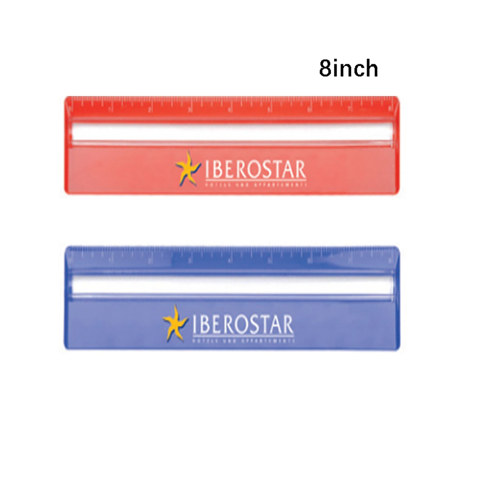 20cm Ruler with Colour and Magnifying DS059TL